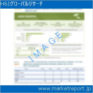 市場と産業調査レポートのイメージ